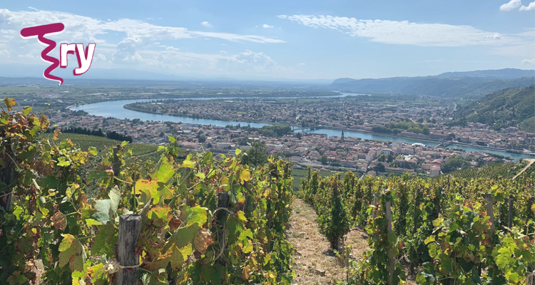 Try | Tanto talento e prezzi umani in 8 vini del Rodano