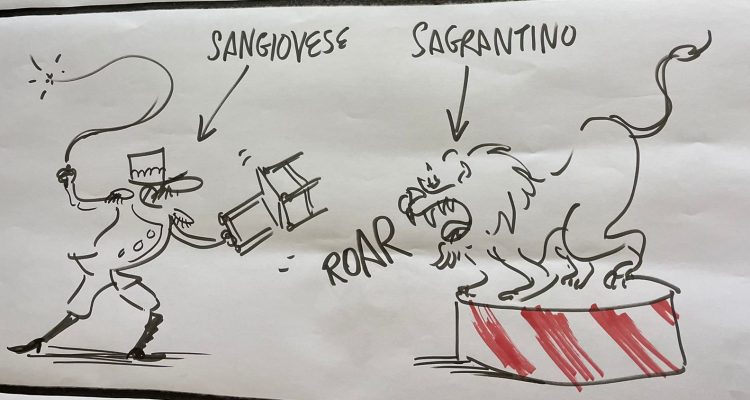 Sagrantino Comics: e se Enologica Abbinamenti fosse un fumetto?