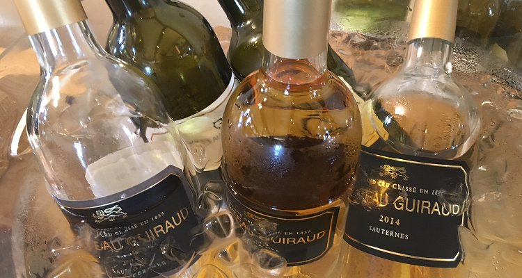 Primeurs a Bordeaux. Sauternes, come si annuncia la vendemmia 2017 in anteprima