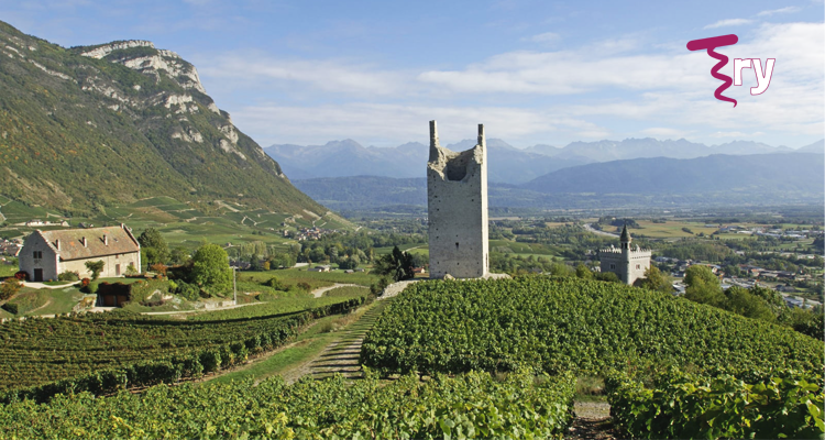 Try | 8 vini per toglierci un forte dubbio: sarà la Savoia <i>the next big thing</i>?