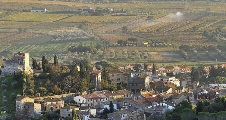 Fermento nel vino toscano: nasce il Consorzio di tutela Suvereto e Val di Cornia Wine