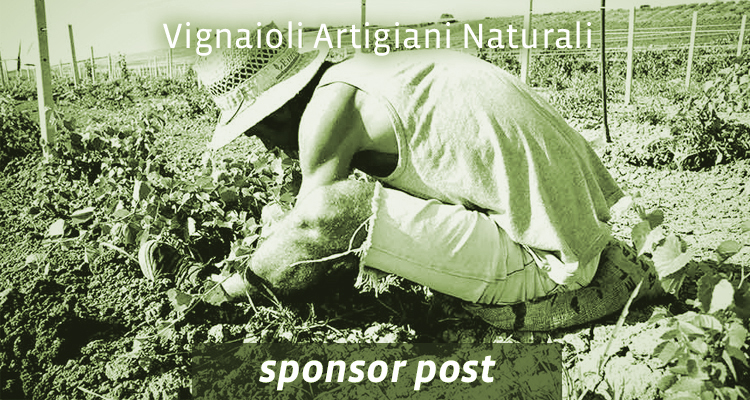 V.A.N., i Vignaioli Artigiani Naturali sono in scena a Roma