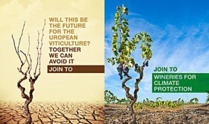 wineries for climate protection